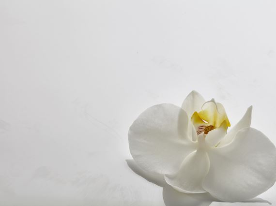 Amenidades