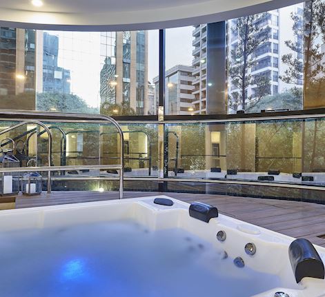 The Spa at Renaissance - Hot Tub