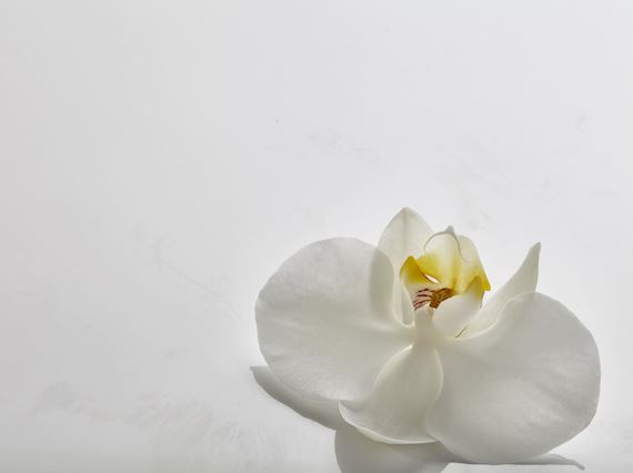 amenity